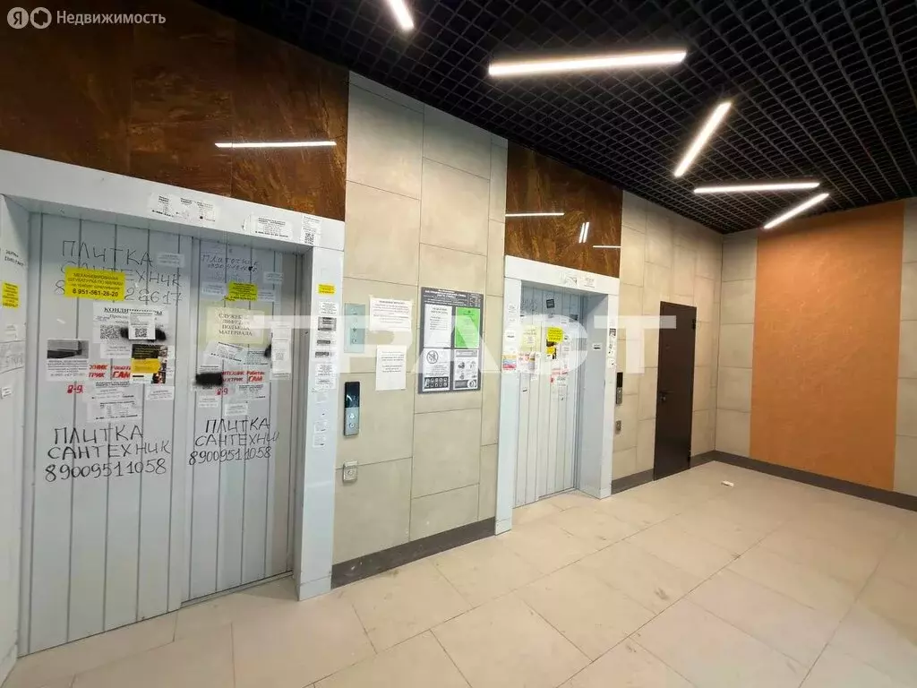 2-комнатная квартира: Воронеж, улица Богдана Хмельницкого, 53А (53 м) - Фото 1