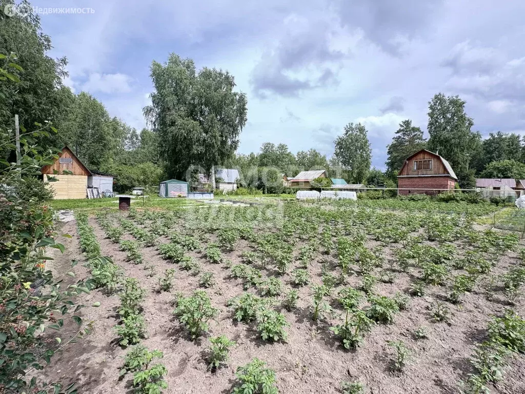 Участок в Новосибирск, СНТ Радист (7.9 м) - Фото 1