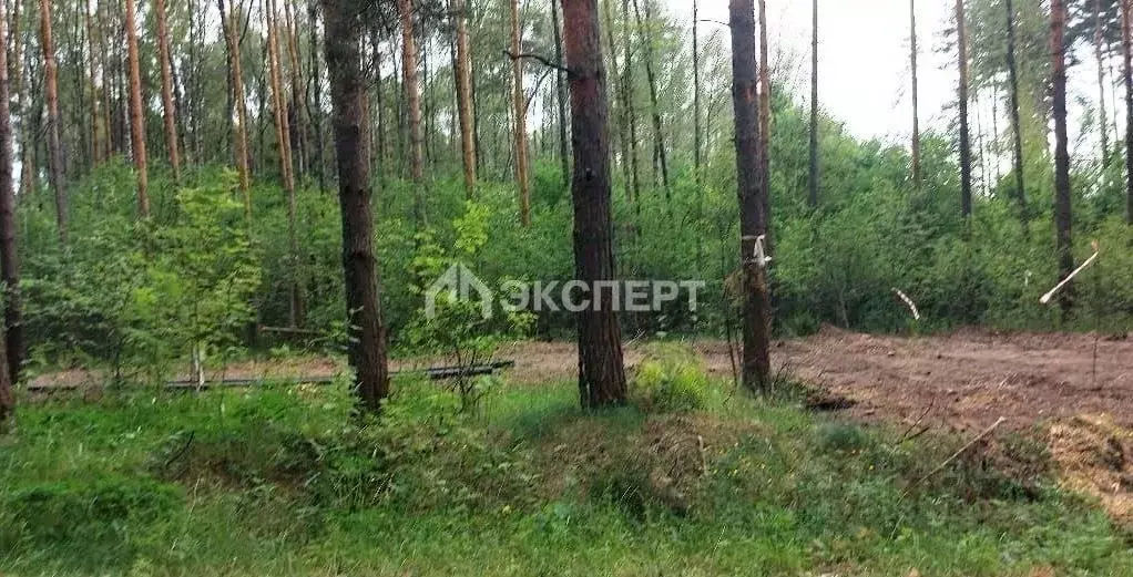 Участок в Владимирская область, Киржачский муниципальный округ, д. ... - Фото 2