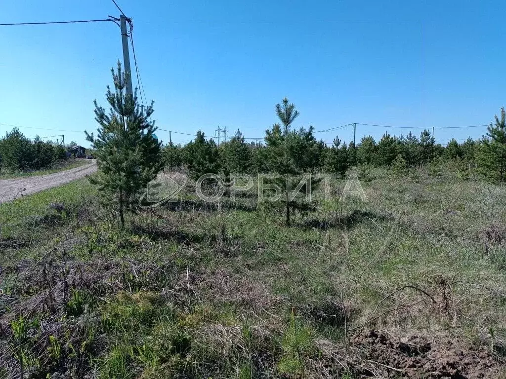 Участок в Тюменская область, Тюменский район, Онегин кп  (8.6 сот.) - Фото 0