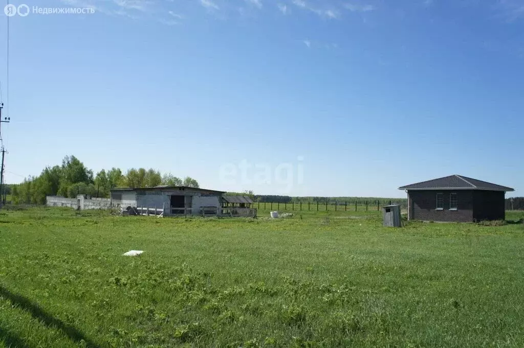 Дом в Нижегородская область, Богородский муниципальный округ, деревня ... - Фото 0