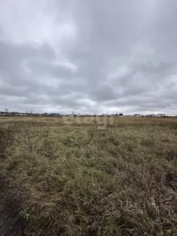 Участок в Калужская область, Дзержинский муниципальный округ, Дворцы ... - Фото 2