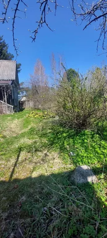 Дом в Ленинградская область, Шлиссельбург Кировский район, ... - Фото 1