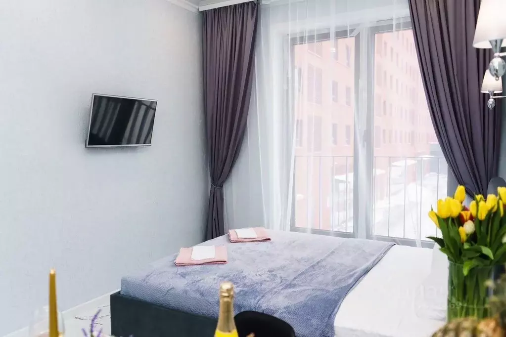 Студия Москва ул. Архитектора Щусева, 5к2 (25.0 м) - Фото 2