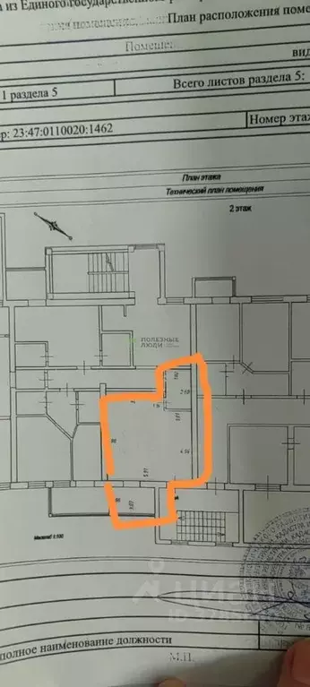 Студия Краснодарский край, Новороссийск ул. Видова, 210Б (37.4 м) - Фото 1