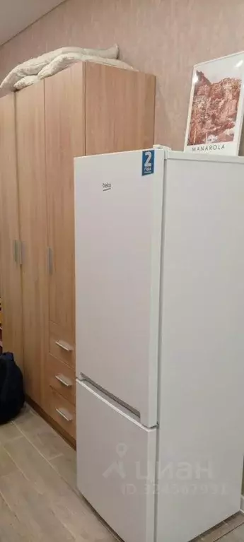 Студия Тюменская область, Тюмень ул. Новоселов, 105 (19.7 м) - Фото 2