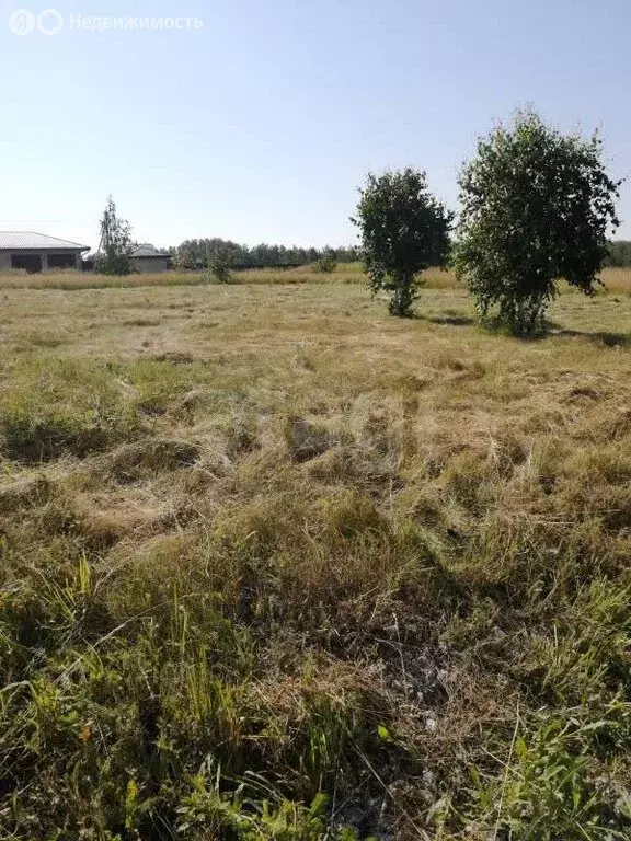 Участок в Быстровский сельсовет, коттеджный посёлок Экопарк, Клеверная ... - Фото 2