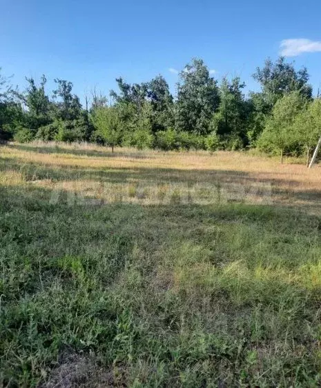 Участок в Ростовская область, Новочеркасск Коммунальщик СТ,  (5.9 ... - Фото 1