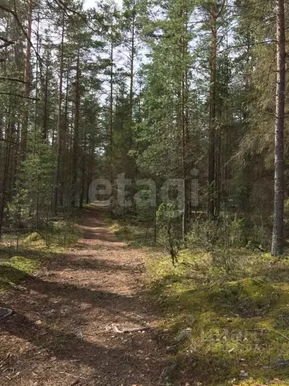 Дом в Тверская область, Осташковский муниципальный округ, д. ... - Фото 1
