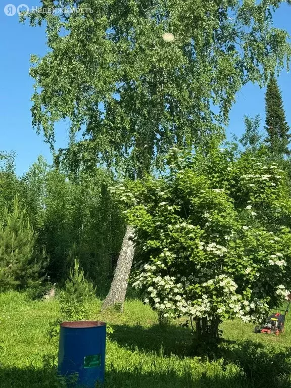 Участок в Томск, посёлок Родионово, улица Полянка (15 м) - Фото 1