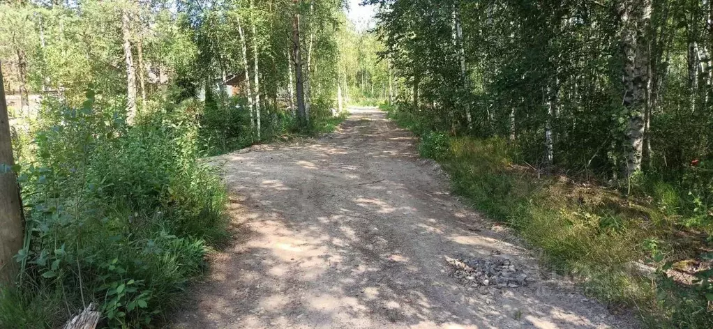 Участок в Ленинградская область, Приозерский район, пос. Мичуринское, ... - Фото 1