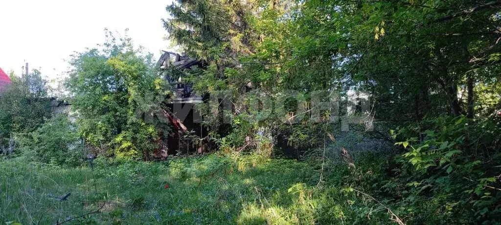 Участок в Новосибирск, садовое товарищество Ивушка (7.23 м) - Фото 0