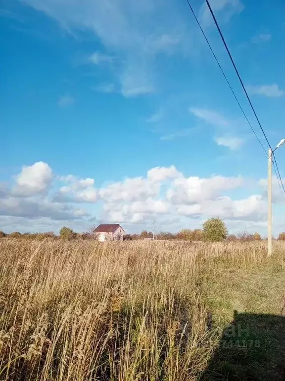 Участок в Калининградская область, Гурьевский муниципальный округ, ... - Фото 2