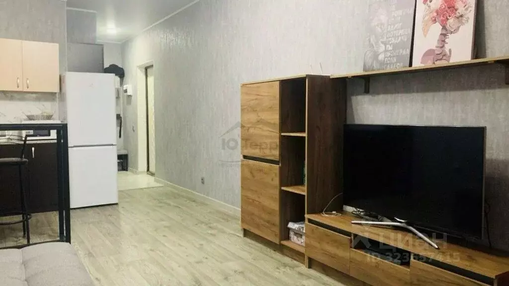 Студия Краснодарский край, Новороссийск Цемдолина тер., ул. Красина, ... - Фото 1