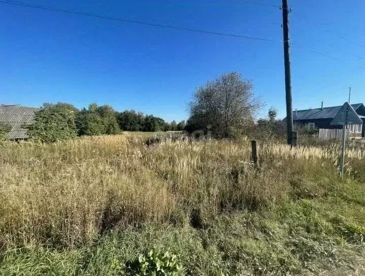 Участок в Владимирская область, Меленковский муниципальный округ, д. ... - Фото 1