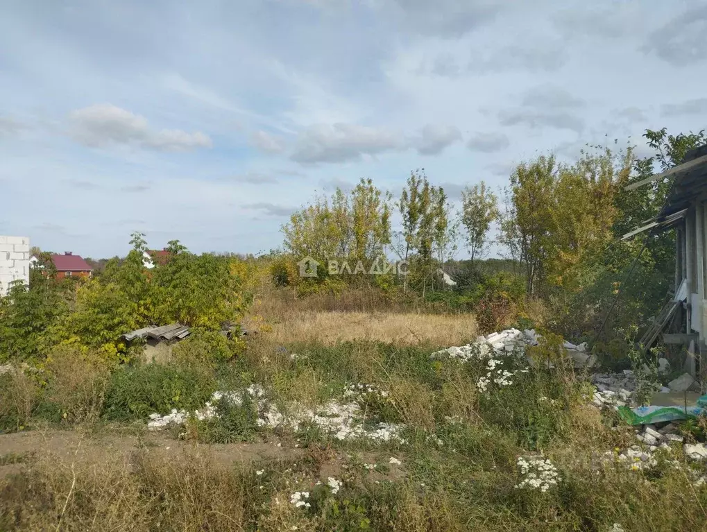 Участок в Белгородская область, Корочанский район, с. Мелихово ул. ... - Фото 1