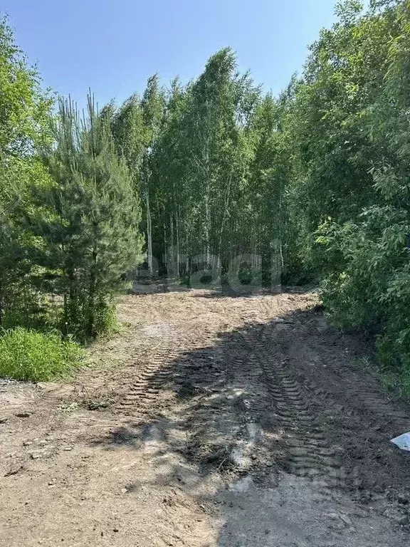 Участок в Тюменская область, Тюменский район, с. Гусево  (7.28 сот.) - Фото 0