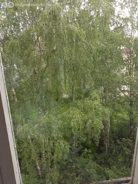 1-комнатная квартира: Череповец, Первомайская улица, 18 (43 м) - Фото 1