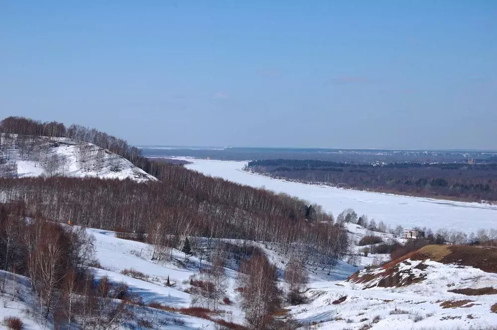 Участок в Нижегородская область, Богородский район, д. Хабарское ... - Фото 1