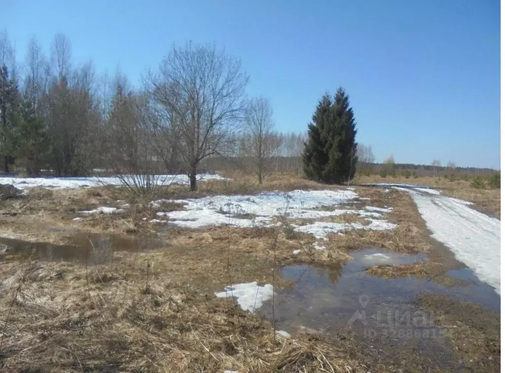 Участок в Московская область, Дмитровский муниципальный округ, с. ... - Фото 1
