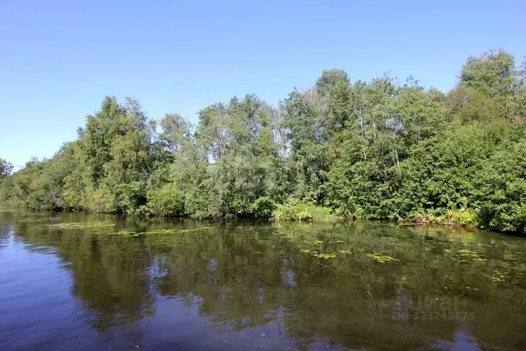 Участок в Вологодская область, Шекснинский муниципальный округ, д. ... - Фото 1