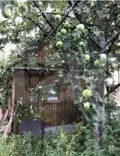 Дом в Кармаскалинский район, Бузовьязовский сельсовет, СНТ Восход (24 ... - Фото 1