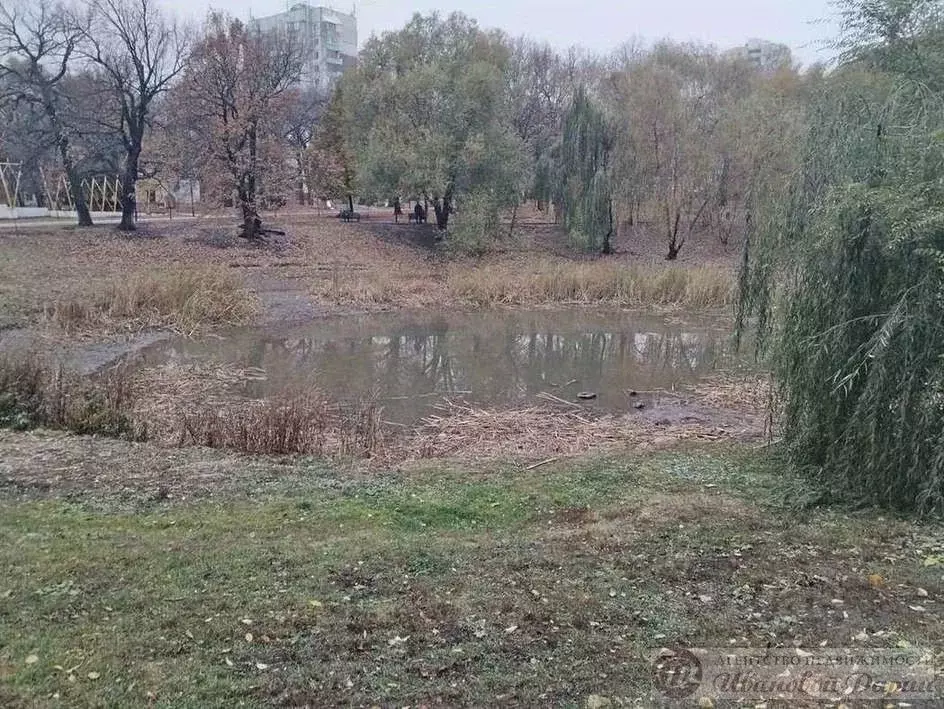 1-к кв. Самарская область, Самара ул. Стара-Загора, 235 (34.3 м) - Фото 2