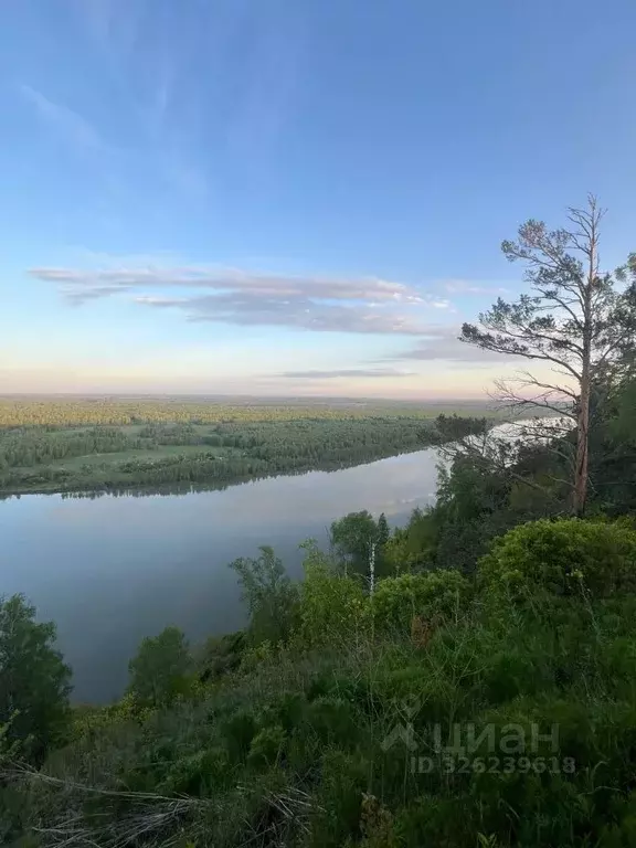 Участок в Кемеровская область, Кемеровский муниципальный округ  (8.0 ... - Фото 2