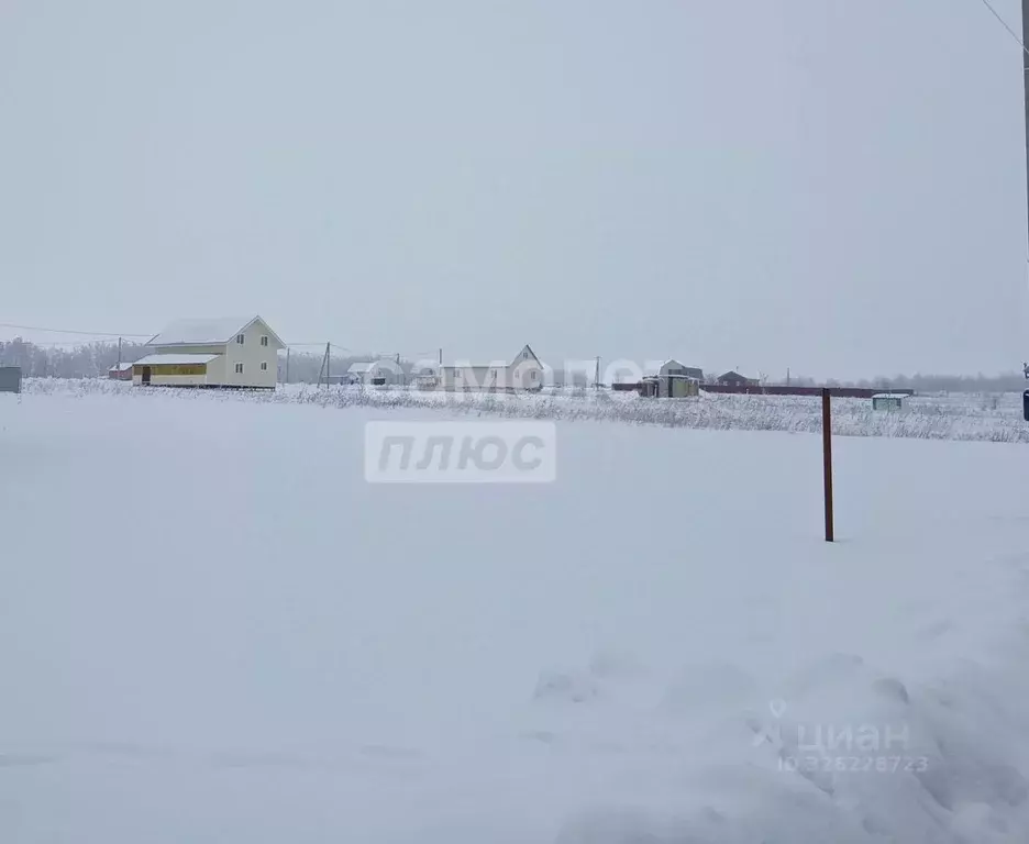 Участок в Рязанская область, с. Захарово ул. Новоселов (15.0 сот.) - Фото 1