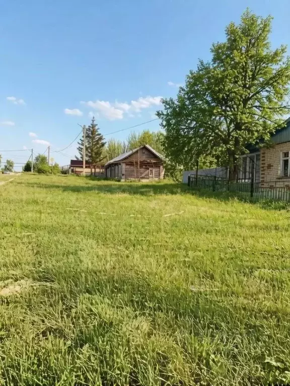 Участок в Татарстан, Кайбицкий район, с. Большие Кайбицы Сиреневая ул. ... - Фото 1