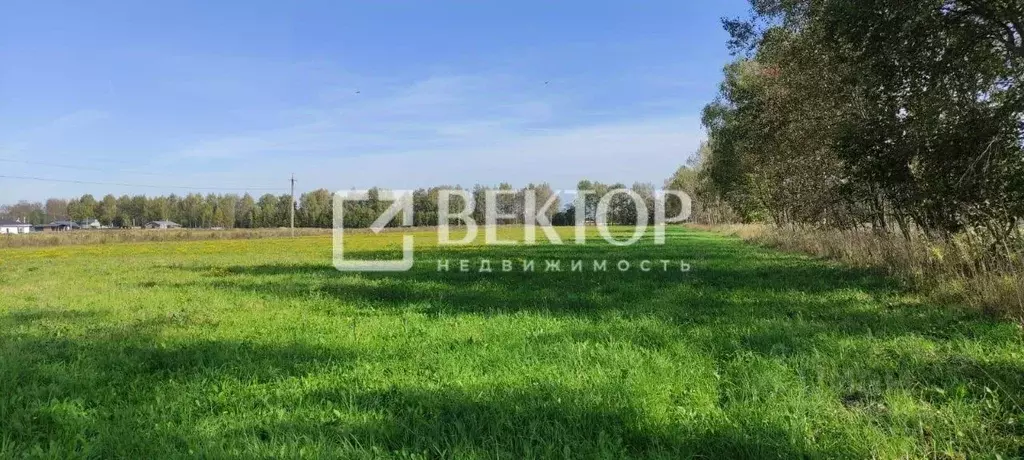 Участок в Ярославская область, Ярославский муниципальный округ, д. ... - Фото 1