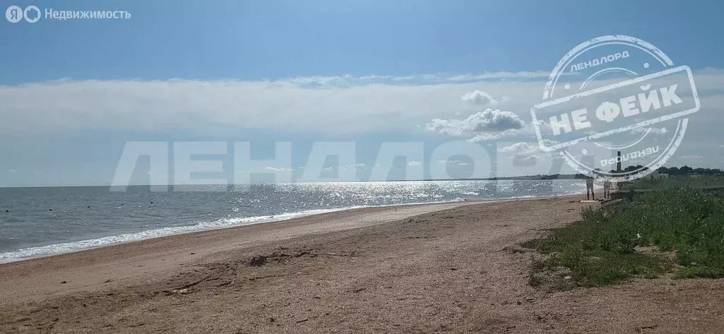 Дом в Должанская, улица Чапаева, 87 (65 м) - Фото 0