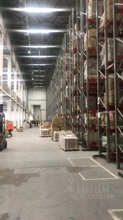 Склад в Московская область, Люберцы городской округ, д. Часовня 5с3 ... - Фото 1