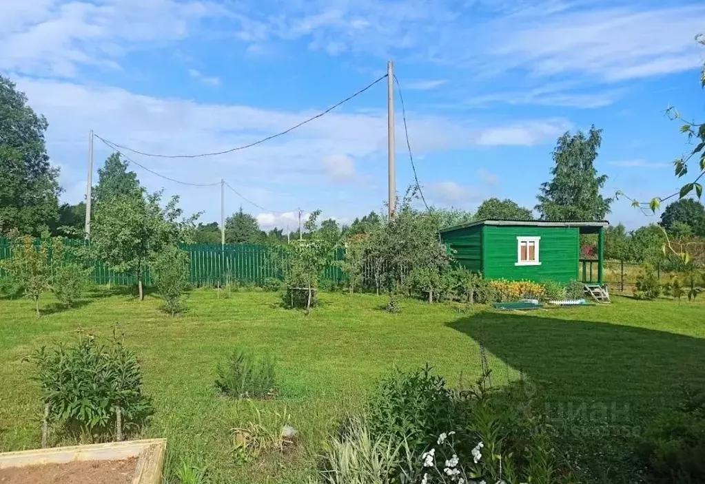 Участок в Ленинградская область, Кингисеппский район, Нежновское ... - Фото 1