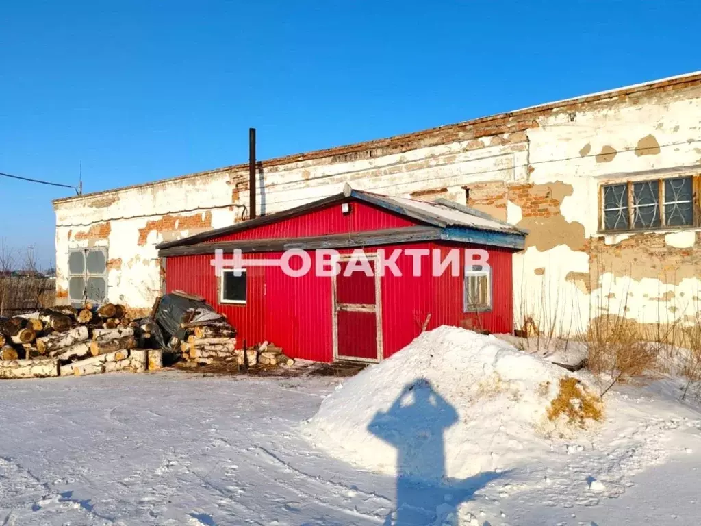 Производственное помещение в Новосибирская область, Купино ул. Карла ... - Фото 1