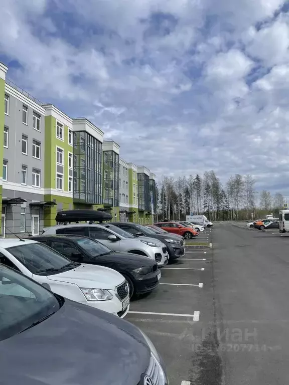 1-к кв. Ленинградская область, Сертолово Всеволожский район, ... - Фото 1