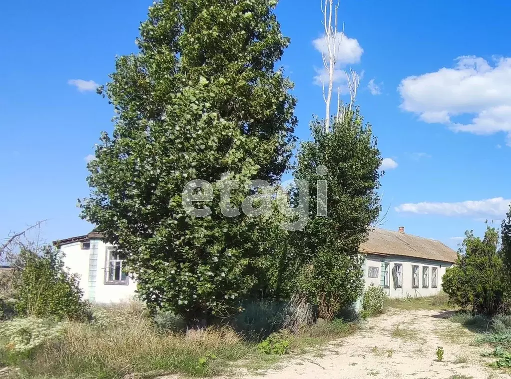 Склад в Краснодарский край, Ейский район, Камышеватская ст-ца  (208 м) - Фото 1