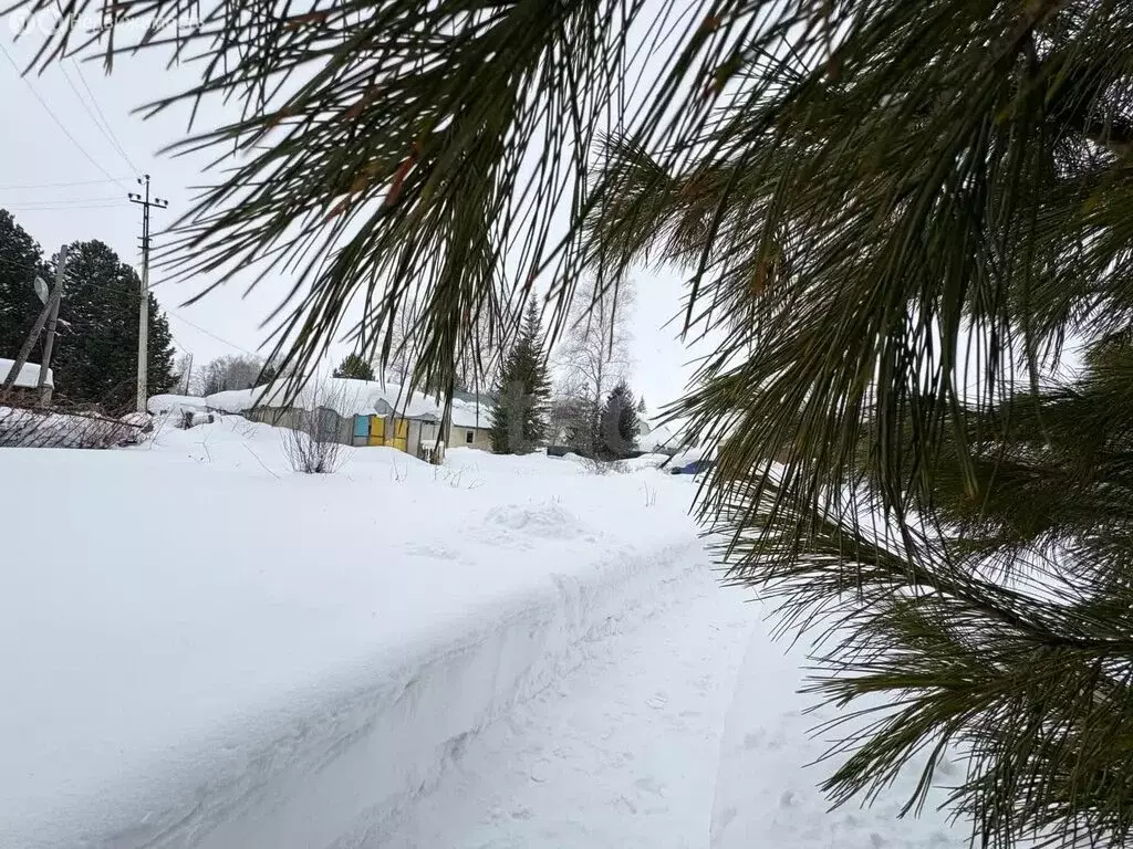 Участок в Кемеровский муниципальный округ, СДТ Берёзка (5.11 м) - Фото 1