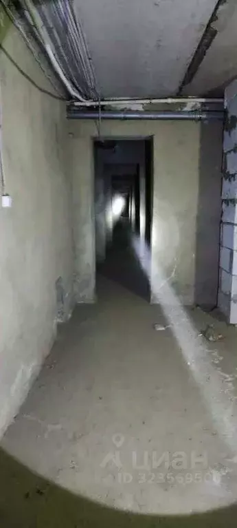 Помещение свободного назначения в Саратовская область, Саратов ул. ... - Фото 2