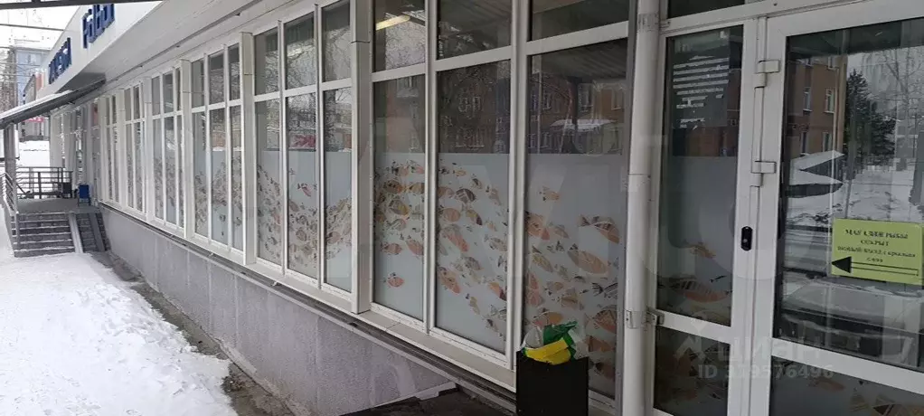 Торговая площадь в Новосибирская область, Новосибирск Физкультурная ... - Фото 1
