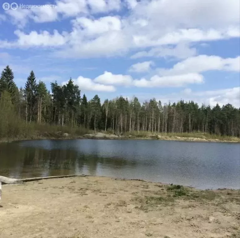 Участок в Ленинградская область, Гатчинский муниципальный округ, ... - Фото 0