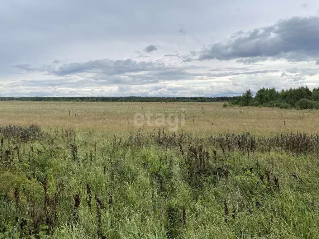 Участок в Владимирская область, Муром д. Макаровка, ул. Центральная ... - Фото 0