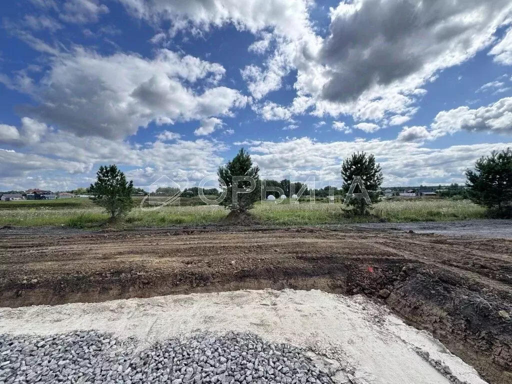 Участок в Тюменская область, Тюменский муниципальный округ, Онегин кп  ... - Фото 1