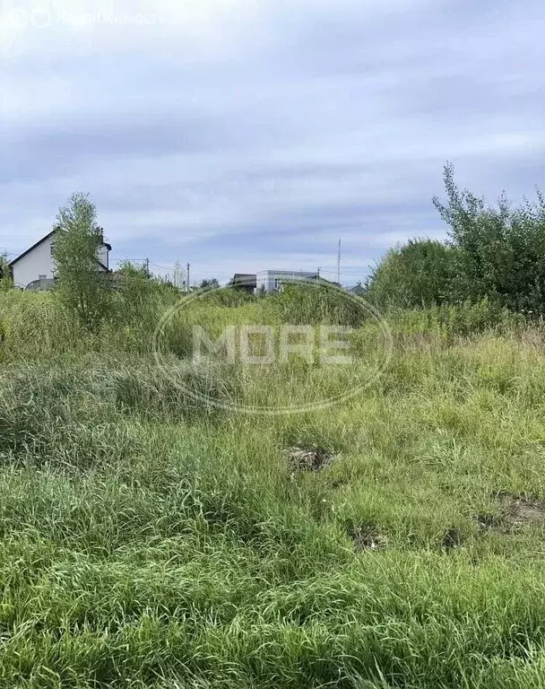 Участок в Балтийск, СНТ Балтийские Озерки (8.11 м) - Фото 1