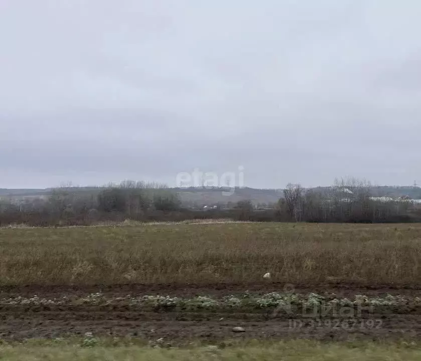 Участок в Белгородская область, Белгородский район, Разумное рп  ... - Фото 0