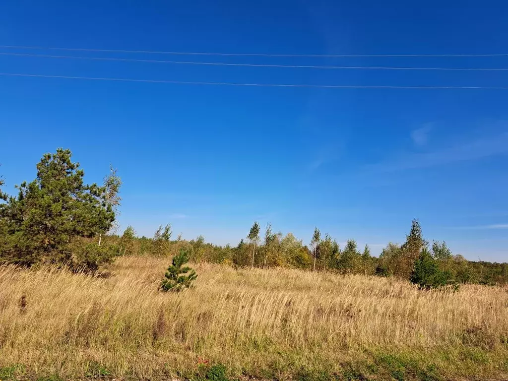 Участок в Московская область, Орехово-Зуевский городской округ, д. ... - Фото 1