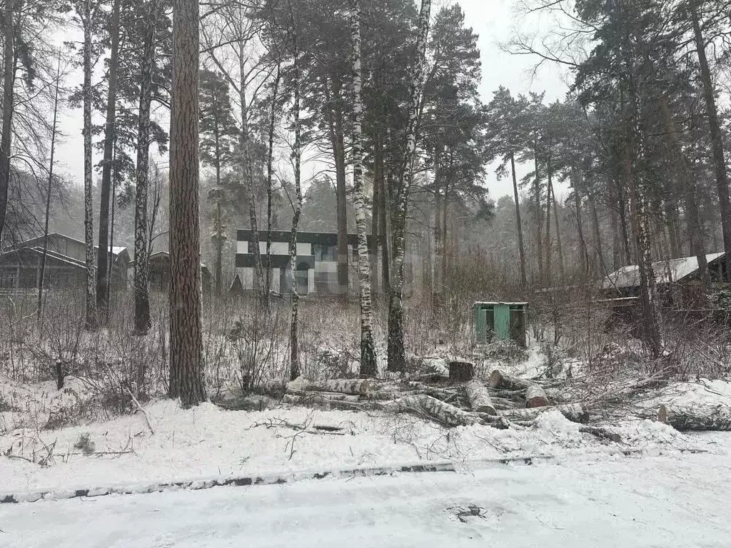 Участок в Новосибирская область, Новосибирск Лесной Берег тер., 25 ... - Фото 2