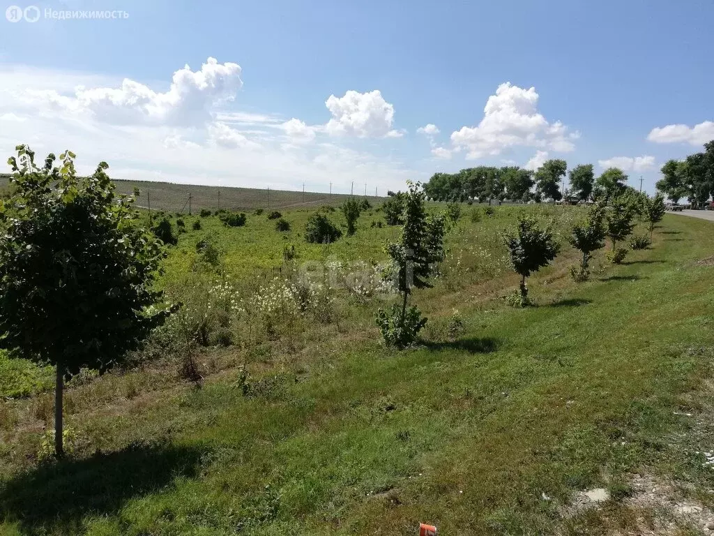 Участок в Краснодарский край, городской округ Новороссийск, станица ... - Фото 1