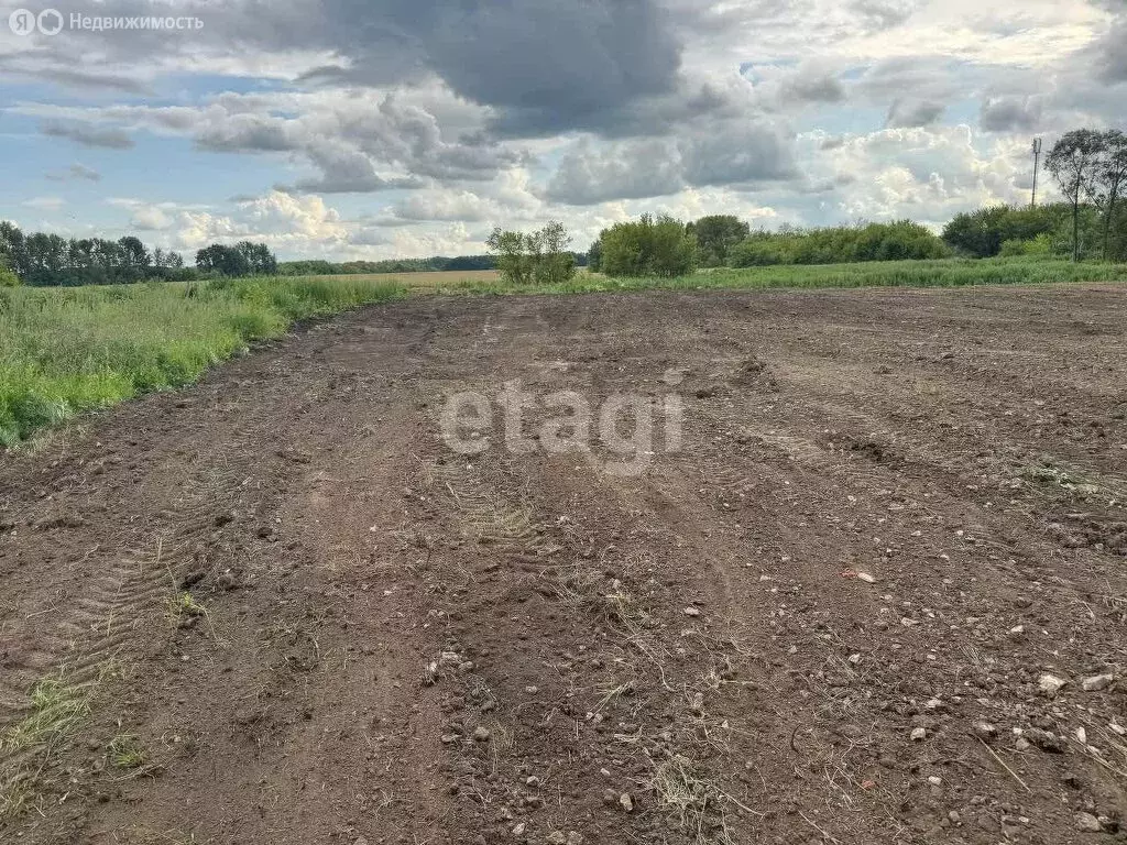Участок в Рузаевский район, посёлок Левженский (10 м) - Фото 2