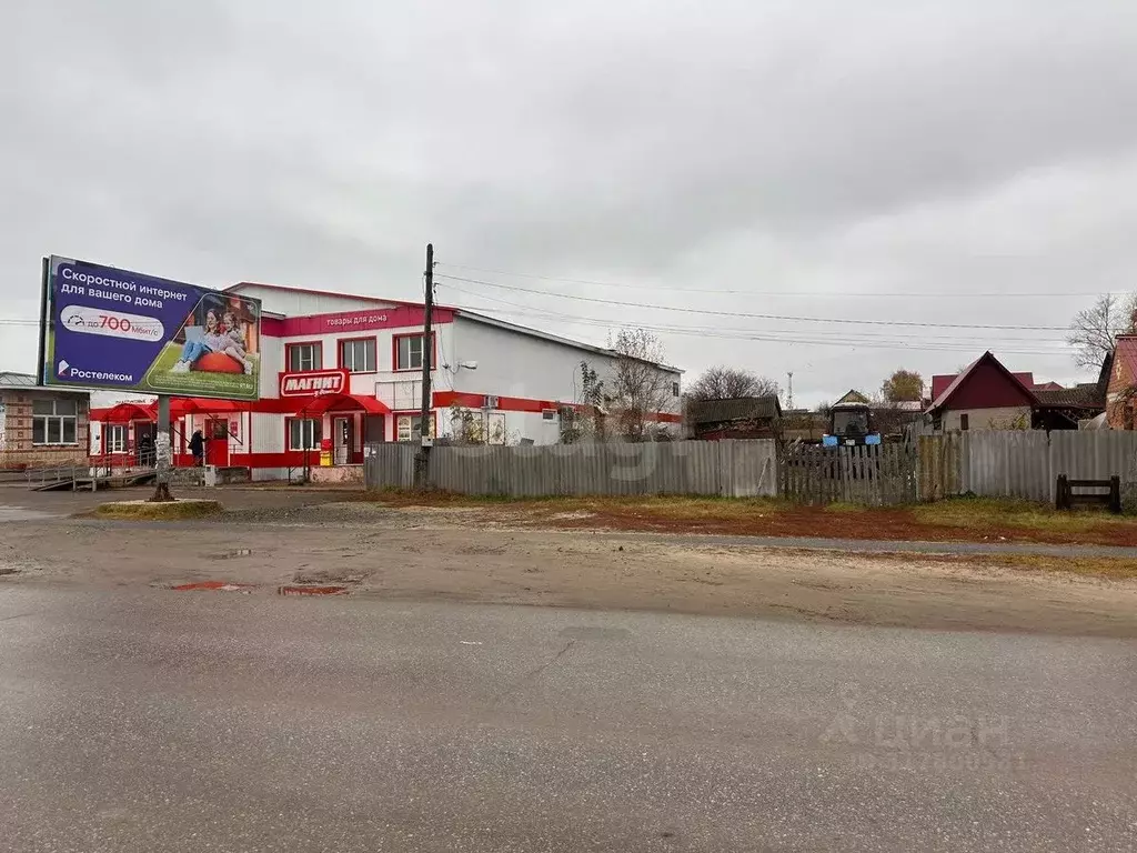 Участок в Мордовия, с. Большие Березники ул. Максима Горького (4.86 ... - Фото 1